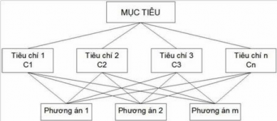 Hình 2 2 Sơ đồ phân tích đa tiêu chí Trọng số của các tiêu chí đánh giá 1