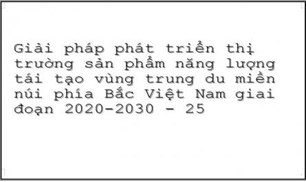 Giải pháp phát triển thị trường sản phẩm năng lượng tái tạo vùng trung du miền núi phía Bắc Việt Nam giai đoạn 2020-2030 - 25