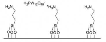 Hình 1 8 Cơ chế gắn HPA thông qua liên kết với nhóm amin Kết quả đặc trưng 3
