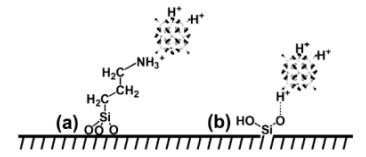 Hình 1 9 Sơ đồ cấu trúc xúc tác với acid H 3 PW 12 O 40 gắn trên SBA 15 a 1