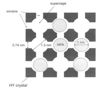 Hình 1 12 HPA được gắn lên chất mang bằng phương pháp bẫy 48 Hơn 4