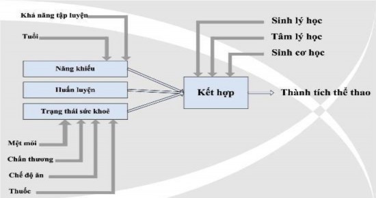 Sơ đồ 3 1 Các yếu tố quyết định đào tạo VĐV cấp kiện tướng 17 Theo 1