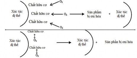 Hình 3 36 Con đường oxi hóa các chất hữu cơ khi O 3 kết hợp với xúc tác 72 1