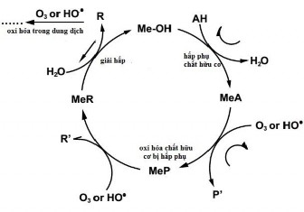 Hình 3 37 Cơ chế hấp phụ trên chất xúc tác và oxi hóa các chất hữu cơ bị 2
