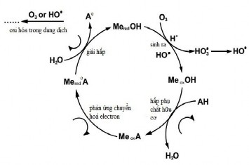 Hình 3 38 Cơ chế phản ứng sinh ra gốc hydroxyl OH • hay các gốc khác bằng 3