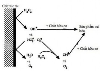 Hình 3 43 Sự phân hủy H 2 O 2 trên bề mặt chất xúc tác 83 Quá trình phân hủy 1