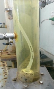 a Trước thí nghiêm b Đang thí nghiệm c Sau thí nghiệm Hình A 3 Ảnh trước và 8