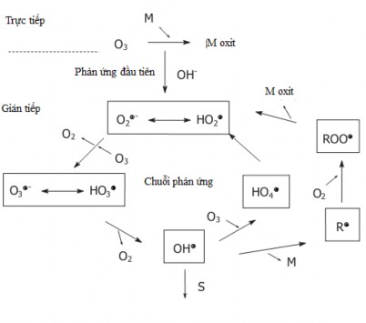 S chất ca ̉ n trơ ̉ M chất ô nhiêm co ́ nồng độ thấp kha ́ c R sản 1
