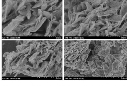 Hình 2 7 Ảnh SEM của mẫu quặng mangan sử dụng trong nghiên cứu Mô hình thí 1