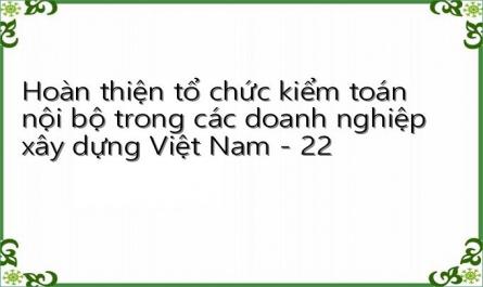 Hoàn thiện tổ chức kiểm toán nội bộ trong các doanh nghiệp xây dựng Việt Nam - 22