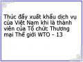 Thúc đẩy xuất khẩu dịch vụ của Việt Nam khi là thành viên của Tổ chức Thương mại Thế giới WTO - 13