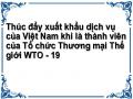 Thúc đẩy xuất khẩu dịch vụ của Việt Nam khi là thành viên của Tổ chức Thương mại Thế giới WTO - 19
