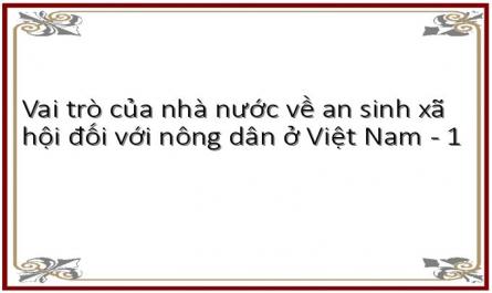Vai trò của nhà nước về an sinh xã hội đối với nông dân ở Việt Nam - 1