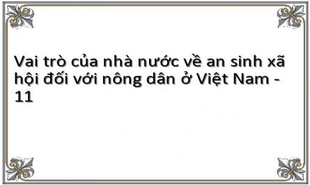 Hoạt Động Của Các Chương Trình, Dự Án Xđgn Của Việt Nam