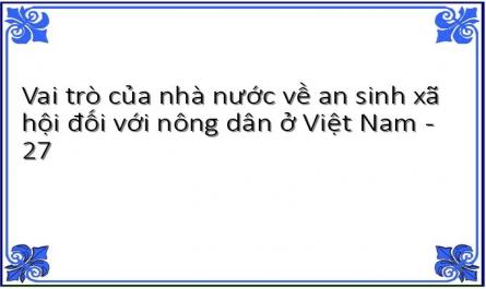 Vai trò của nhà nước về an sinh xã hội đối với nông dân ở Việt Nam - 27