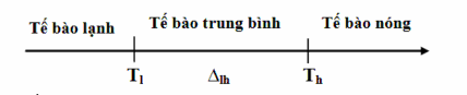 Hình 1 9 Phân loại tế bào lạnh tế bào trung bình và tế bào nóng Việc xác 4
