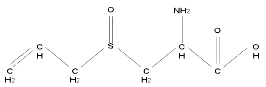 Cấu trúc của Allicin Allicin sẽ nhanh chóng bị phân hủy đặc biệt đưới tác 1
