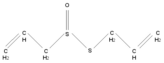 Allicin sẽ nhanh chóng bị phân hủy đặc biệt đưới tác động khi bị đun 2