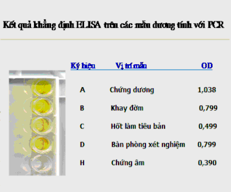 Ảnh 3 7 Kết quả khằng định ELISA với vi khuẩn lao các mẫu quệt dụng cụ 8