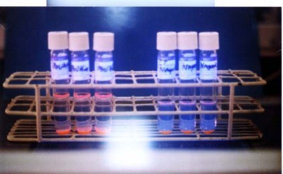 Ảnh 2 3 Nuôi cấy vi khuẩn lao trên môi trường MGIT 2 2 4 3 Thử nghiệm tích luỹ 3