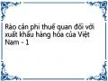 Rào cản phi thuế quan đối với xuất khẩu hàng hóa của Việt Nam - 1