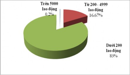 Ngu ồn Tập đo àn dệt may Việt Nam 20 12 Phụ lục 2 4 10 nhà đầu tư lớn 12