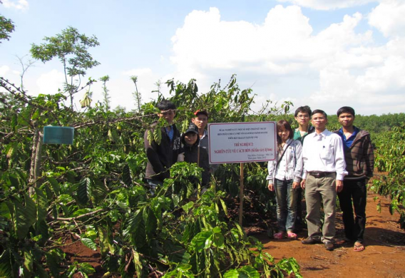 2 năm 2012 và 2013 PHỤ LỤC 1 MỘT SỐ HÌNH ẢNH THÍ NGHIỆM NGOÀI ĐỒNG RUỘNG 2