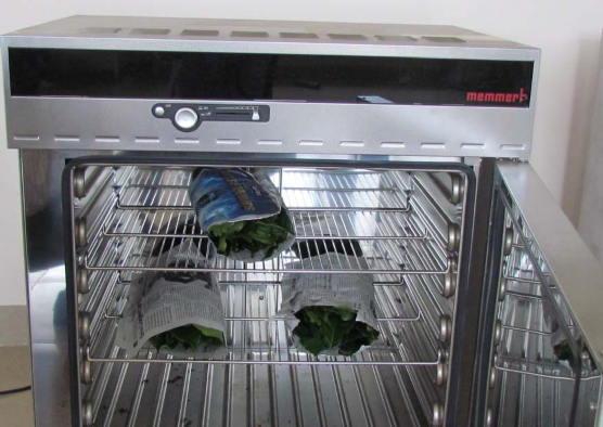 Phụ lục 3 KẾT QUẢ XỬ LÝ SỐ LIỆU THI NGHIEM 1 LIEU LUONG BON DAM VA KALI 4 20 2014 10