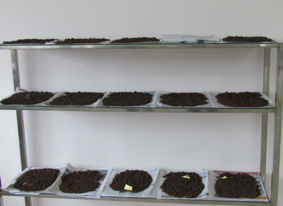 Phụ lục 3 KẾT QUẢ XỬ LÝ SỐ LIỆU THI NGHIEM 1 LIEU LUONG BON DAM VA KALI 4 20 2014 11