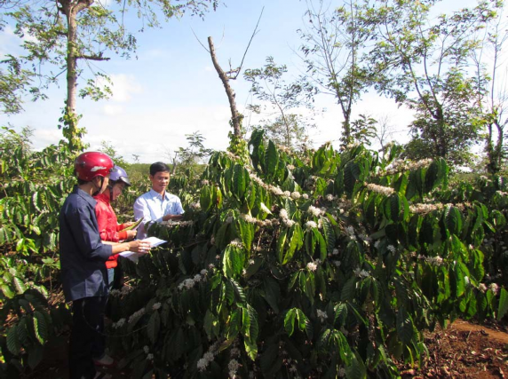 PHỤ LUC 2 MỘT SỐ HÌNH ẢNH PHÂN TÍCH MẪU ĐẤT LÁ TRONG PHÒNG THÍ NGHIỆM Phụ 4