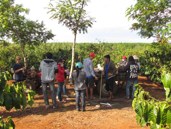 PHỤ LUC 2 MỘT SỐ HÌNH ẢNH PHÂN TÍCH MẪU ĐẤT LÁ TRONG PHÒNG THÍ NGHIỆM Phụ 6