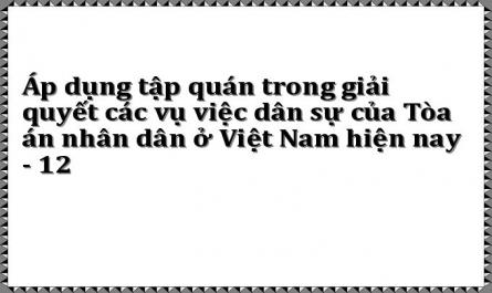 Thủ Tục Áp Dụng Tập Quán Để Giải Quyết Vụ, Việc Dân Sự Tại Tòa Án Nhân Dân Ở Việt Nam