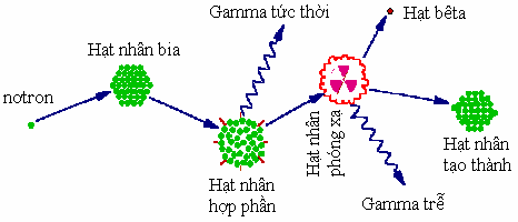 Hình 1 1 Quá trình phản ứng của nơtron với hạt nhân Xác định năng lượng 1