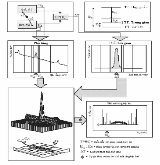 Hình 2 18 Sơ đồ minh hoạ mối liên hệ giữa các sự kiện thu được và các 3