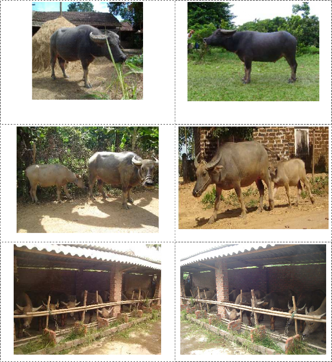 971 21 21 23 Nguồn Kearl 1982 PHỤ LỤC 5 MỘT SỐ HÌNH ẢNH MÔ TẢ THÍ NGHIỆM 1