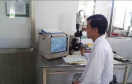 Đánh giá hoạt lực tinh trùng Đánh giá nồng độ tinh trùng Pha loãng tinh dịch 19