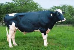 HF­290 HF­291 HF­292 HF­293 HF­294 HF­295 HF­ 296 HF­297 HF 298 HF 299 HF 2100 HF 2101 HF 2