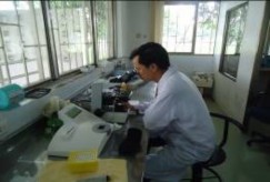 Đánh giá hoạt lực tinh trùng Đánh giá nồng độ tinh trùng Pha loãng tinh dịch 20