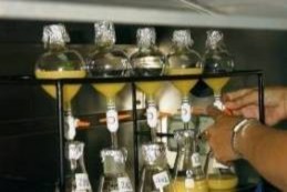 Pha loãng tinh dịch Đánh giá kỳ hình tỷ lệ tinh trùng sống chết Môi trường 22