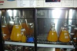 Môi trường pha loãng tinh In nhãn mác lên cọng rạ Nạp­hàn cọng rạ Cân bằng 23