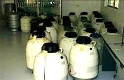 Đông lạnh tinh Bảo quản tinh 4 Một số hình ảnh về triển khai đề tài luận 28