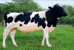 HF­292 HF­293 HF­294 HF­295 HF­ 296 HF­297 HF 298 HF 299 HF 2100 HF 2101 HF 2102 HF 2103 HF 3