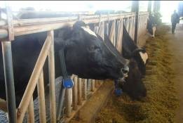 4 Một số hình ảnh về triển khai đề tài luận án tại Mộc Châu và Đức 30