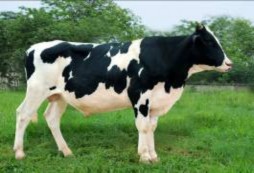 HF­292 HF­293 HF­294 HF­295 HF­ 296 HF­297 HF 298 HF 299 HF 2100 HF 2101 HF 2102 HF 2103 HF 4