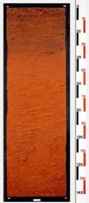 Ký hiệu VN 46 Ký hiệu VN 41 Ký hiệu VN 25 Hình 1 1 Phẫu diện đất của một 1