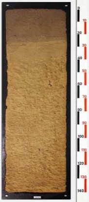 Ký hiệu VN 41 Ký hiệu VN 25 Hình 1 1 Phẫu diện đất của một số loại đất 2