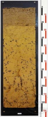 Ký hiệu VN 25 Hình 1 1 Phẫu diện đất của một số loại đất cát ven biển 3