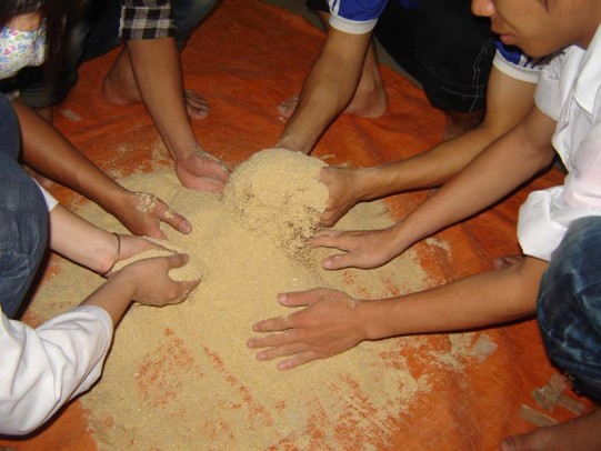 Hình 2 Trộn thức ăn thí nghiệm 2