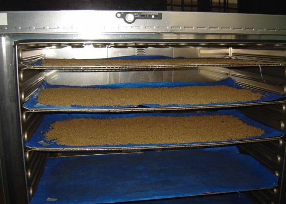 Hình 4 Sấy khô thức ăn thí nghiệm Hình 5 Gà Sao thí nghiệm tiêu hóa và xác 2