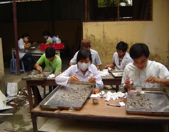 Hình 6 Thu mẫu phân gà Sao thí nghiệm Hình 7 Trộn đều mẫu phân để phân tích 4